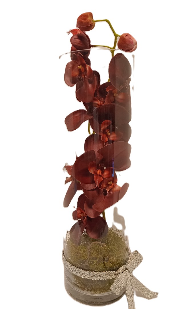 Fabric Phalanopsis Orchid in Glass image 0